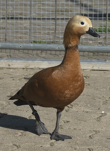 坚信