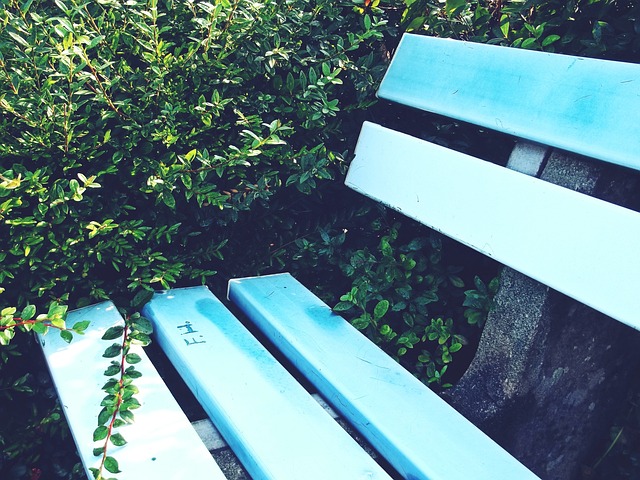 在比赛第二 在比赛第二