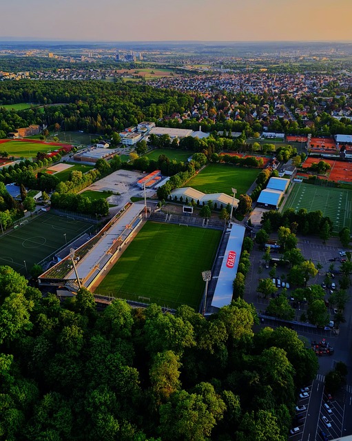 及时的心理 及时的心理