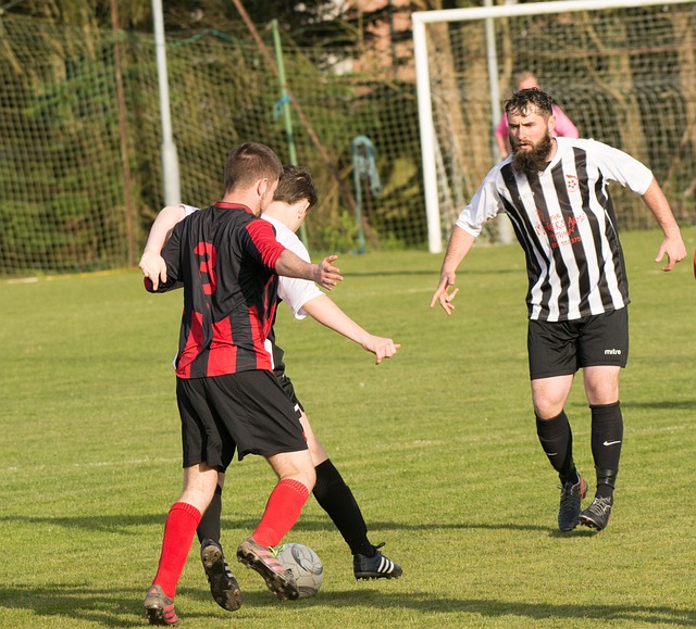 练营的背景 练营的背景