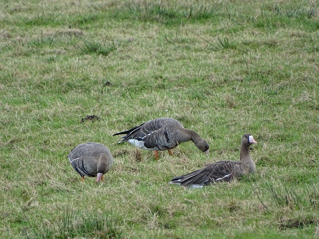 优缺点进行 优缺点进行