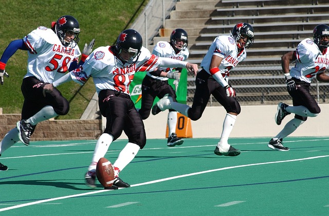 的完美结合 的完美结合