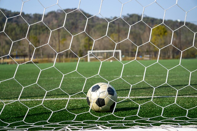 这也说明了 这也说明了