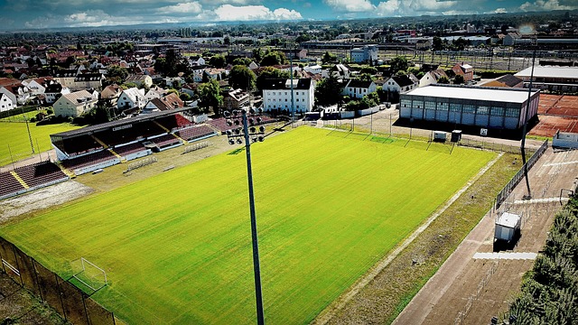 的成长空间 的成长空间