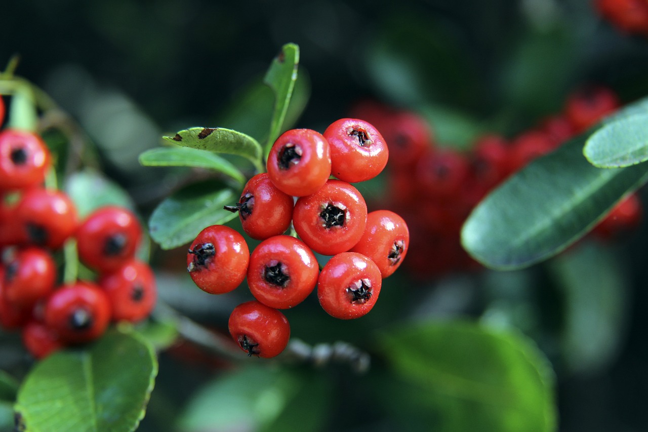 体育不仅仅 体育不仅仅